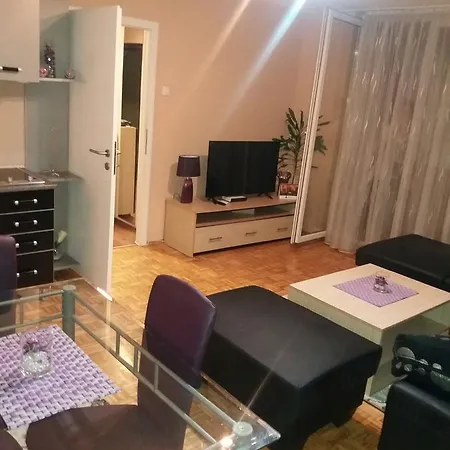 Apartman Radjenovic 公寓